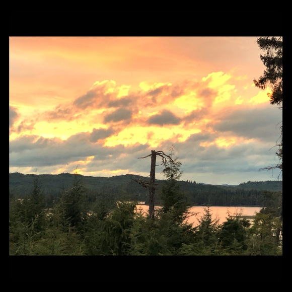 Meet your Posher, Jerrod - Picture 1 of 1